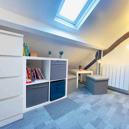 Triplex A Parc Asterix Cdg Villepinte