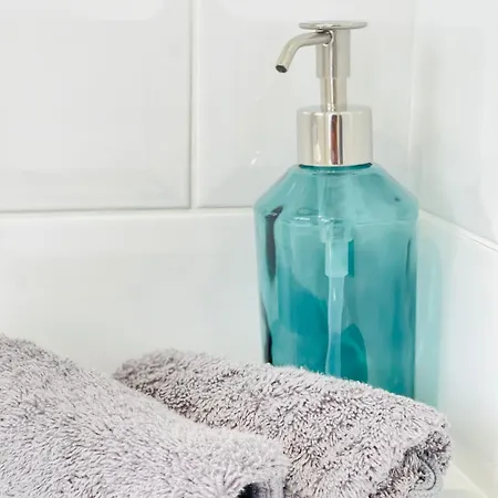 Triplex A Parc Asterix Cdg Villepinte * 플라이리